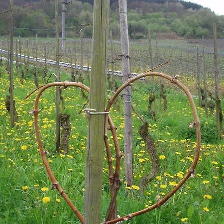 Apartamento Zenz - Ferienwohungen Ernst