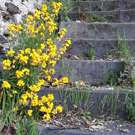 Zenz - Ferienwohungen Apartamento *