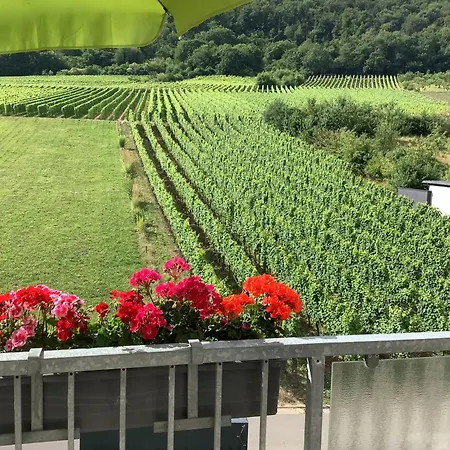 Zenz - Ferienwohungen