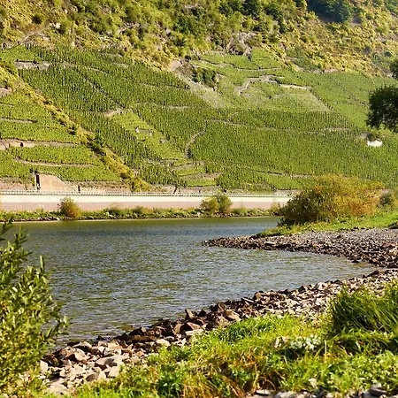 Zenz - Ferienwohungen * Ernst