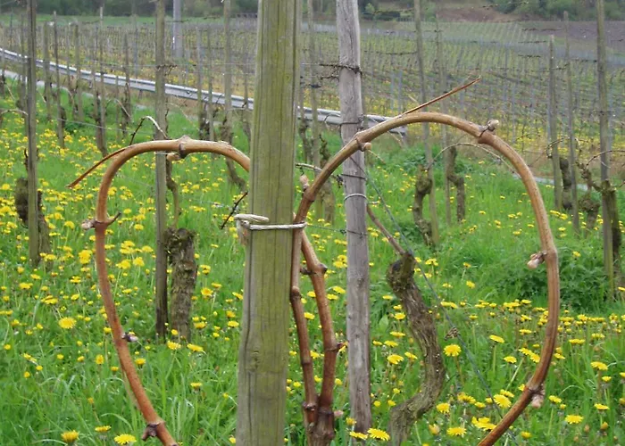 Apartament Zenz - Ferienwohungen Ernst