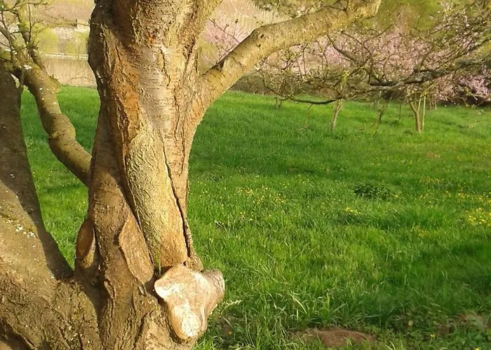 Zenz - Ferienwohungen Apartament