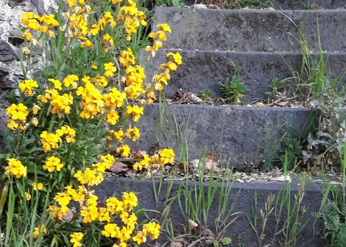 Zenz - Ferienwohungen Apartament *