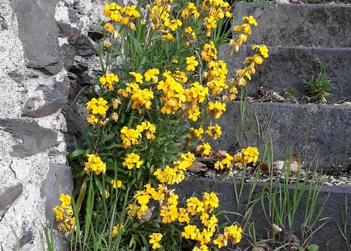 Zenz - Ferienwohungen *