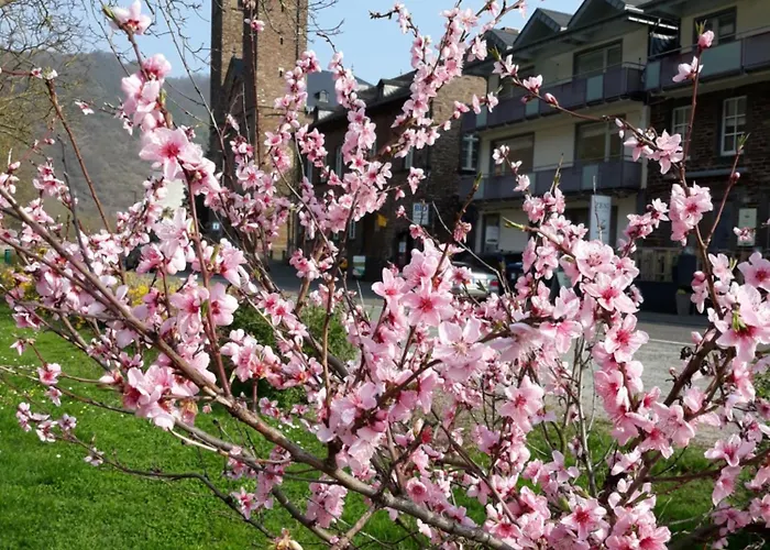 Zenz - Ferienwohungen Apartament