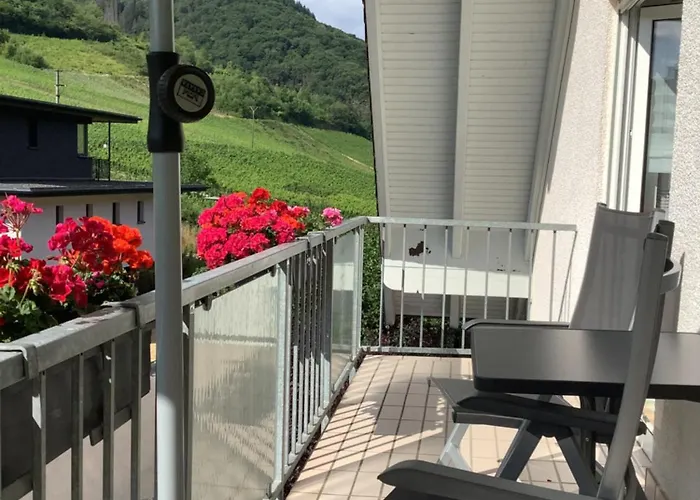 Zenz - Ferienwohungen *