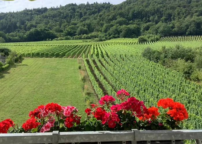 아파트 Zenz - Ferienwohungen