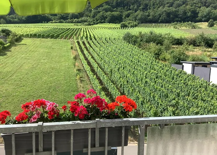 Zenz - Ferienwohungen