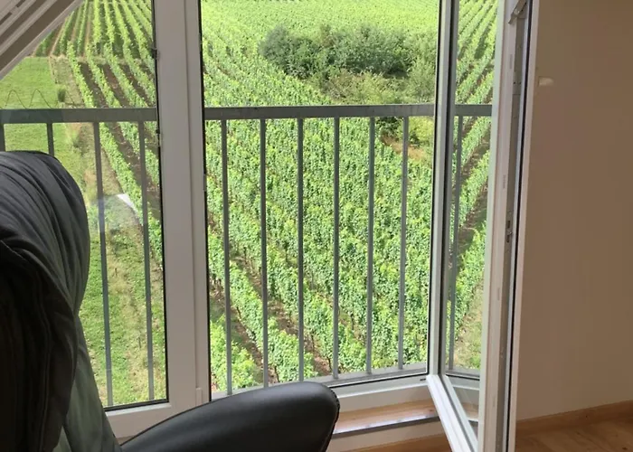 Appartement Zenz - Ferienwohungen Ernst