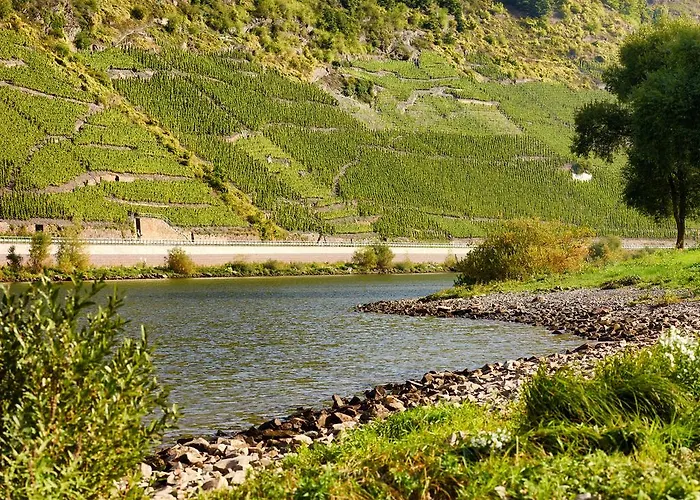 Zenz - Ferienwohungen * Ernst