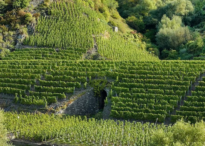 Zenz - Ferienwohungen Appartement *