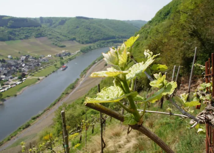 Zenz - Ferienwohungen *